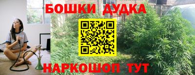 стафф Кандалакша