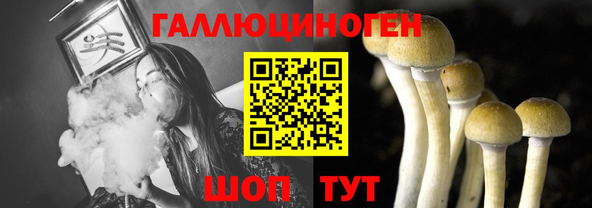 Советский  Галлюциногенные грибы MAGIC MUSHROOMS  Псилоцибиновые грибы Cubensis  Вход с VPN 